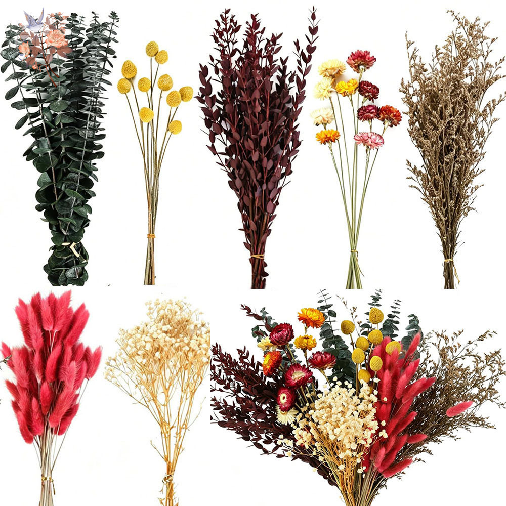 Wedding Floral Supply - مجموعة كبيرة من الزهور المجففة، 7